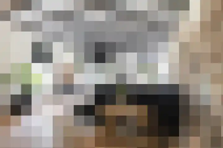 Molenstraat 2 Gasselte thumbnail 25