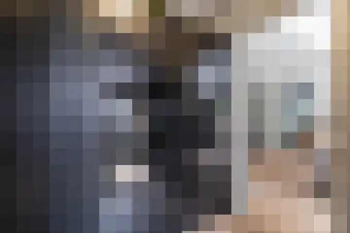 Molenstraat 2 Gasselte thumbnail 37