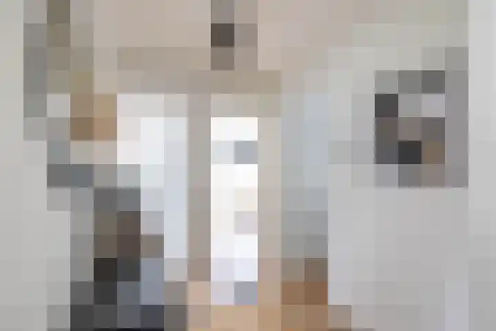 Molenstraat 2 Gasselte thumbnail 38