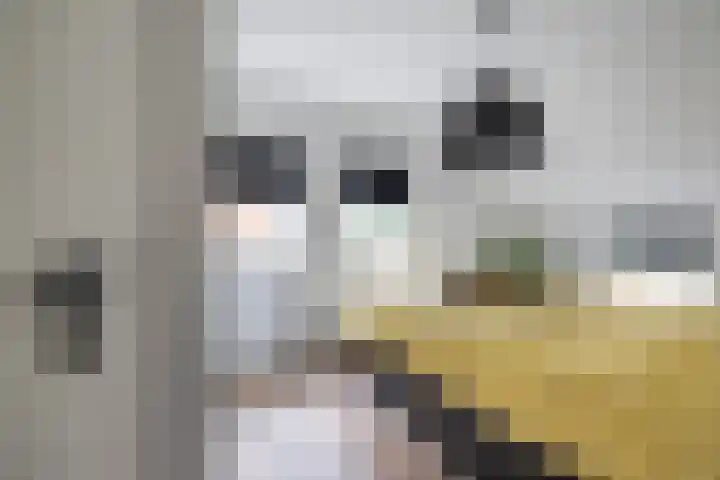 Molenstraat 2 Gasselte thumbnail 39