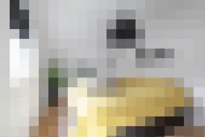 Molenstraat 2 Gasselte thumbnail 40