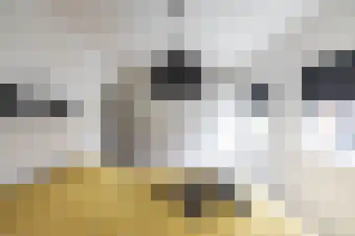 Molenstraat 2 Gasselte thumbnail 41