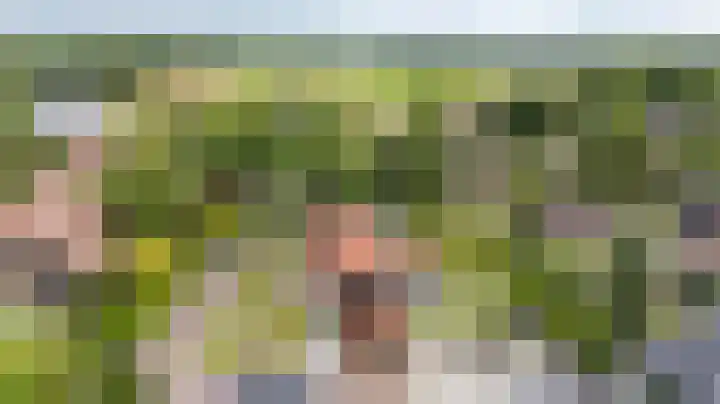 Molenstraat 2 Gasselte thumbnail 5