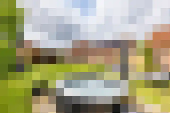 Molenstraat 2 Gasselte thumbnail 59