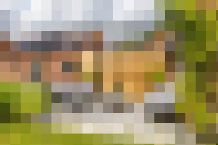 Molenstraat 2 Gasselte thumbnail 61