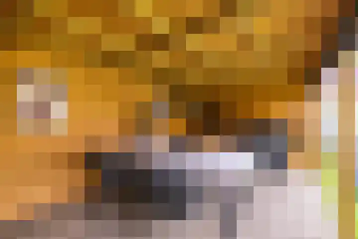 Molenstraat 2 Gasselte thumbnail 64