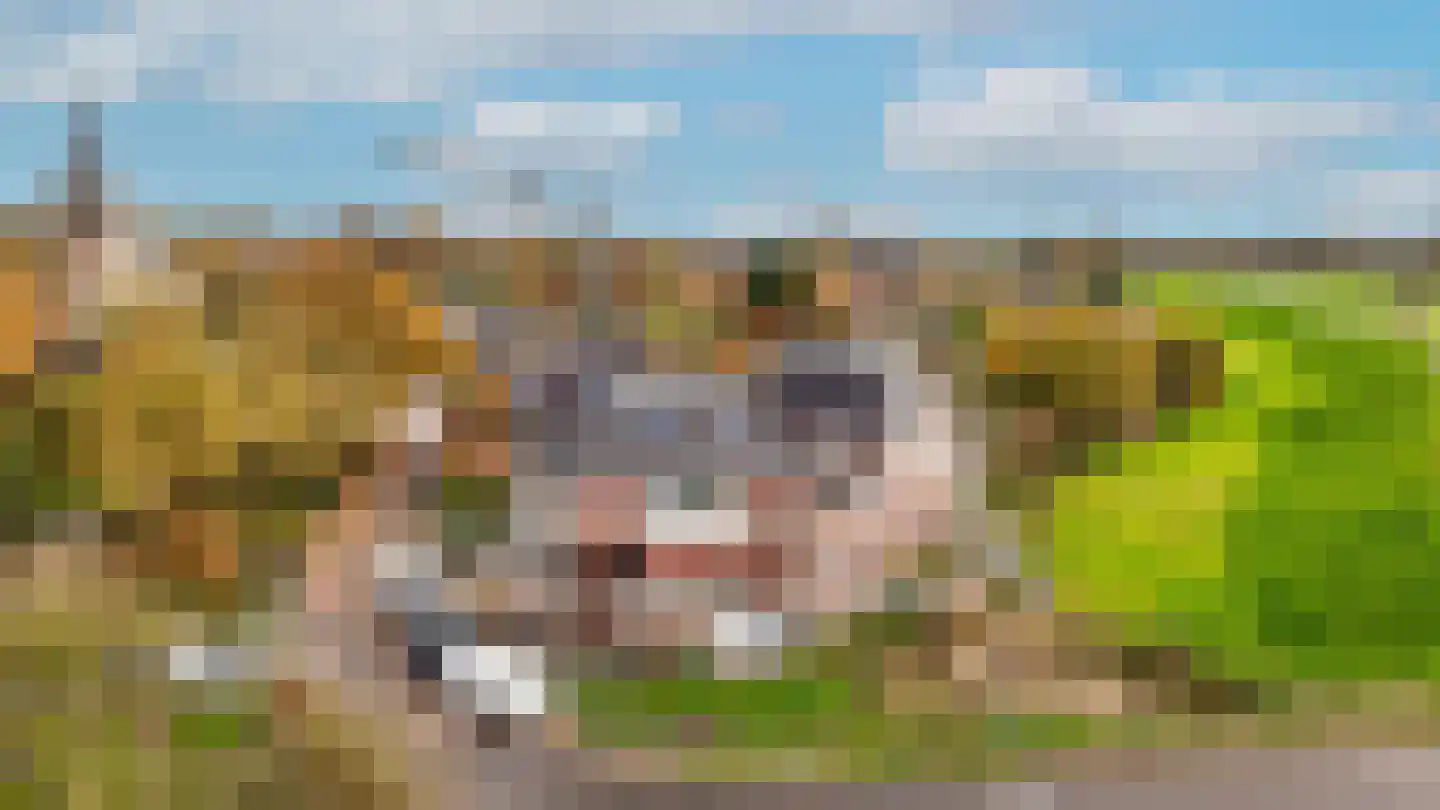 Molenstraat 2 Ophemert thumbnail 11