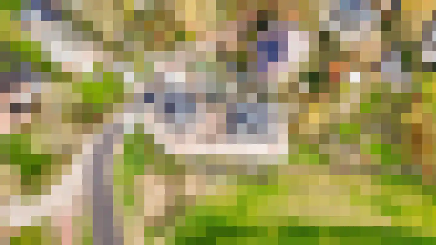 Molenstraat 2 Ophemert thumbnail 14