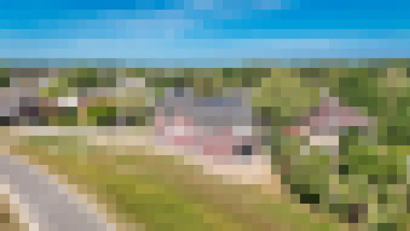 Molenstraat 2 Ophemert thumbnail 39