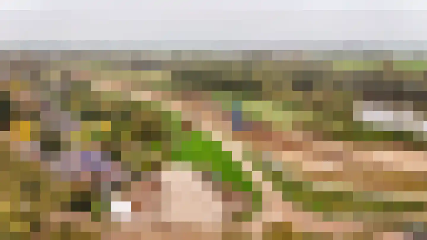 Molenstraat 2 Ophemert thumbnail 4