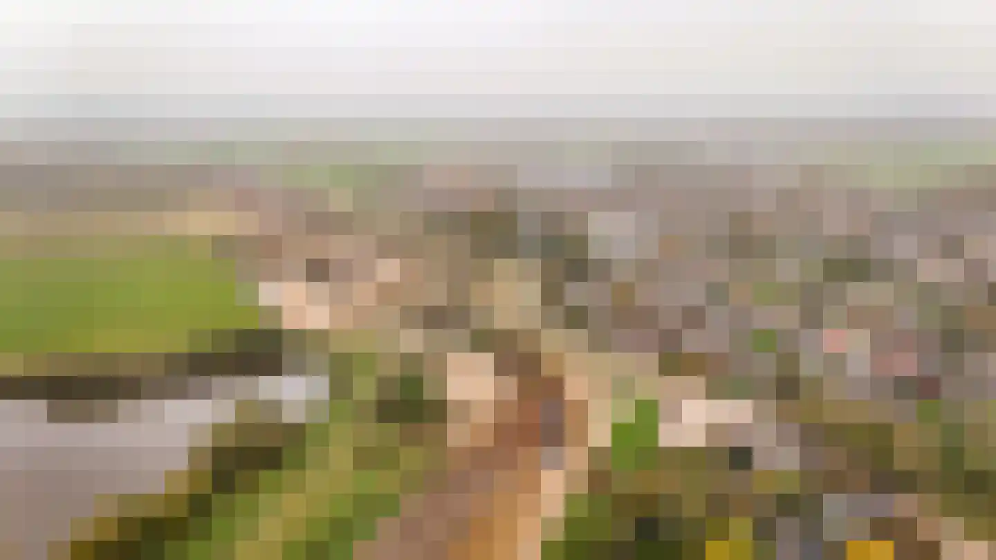 Molenstraat 2 Ophemert thumbnail 5