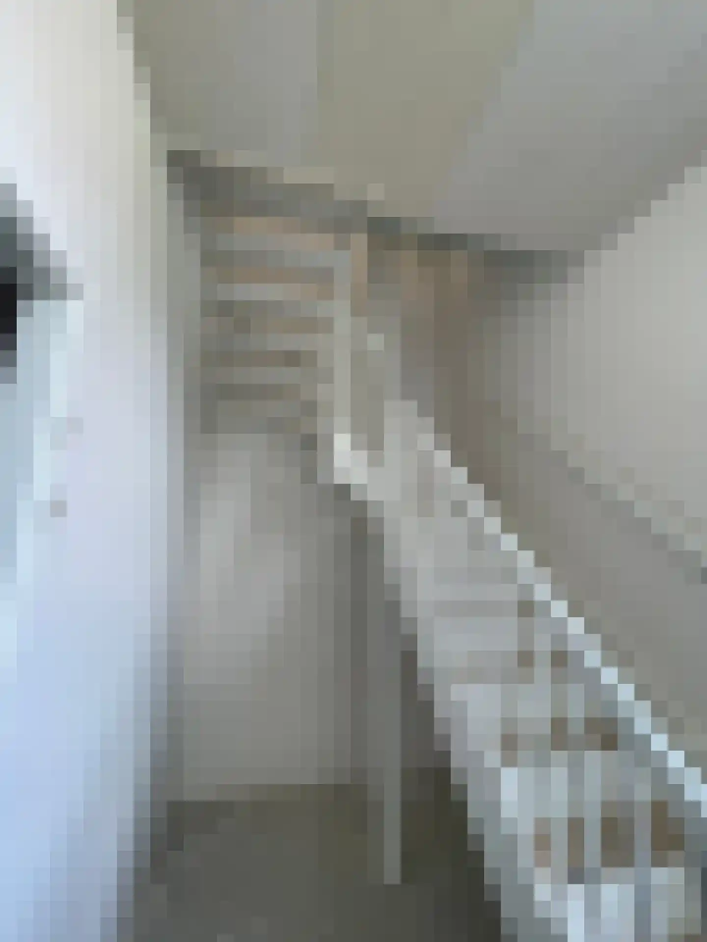 Molenstraat 2 Ophemert thumbnail 6
