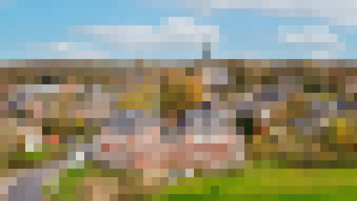Molenstraat 2 Ophemert thumbnail 9