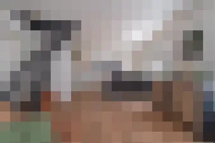 Molenstraat 2 Sint-Maartensdijk thumbnail 10