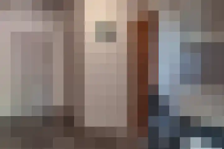 Molenstraat 2 Sint-Maartensdijk thumbnail 21