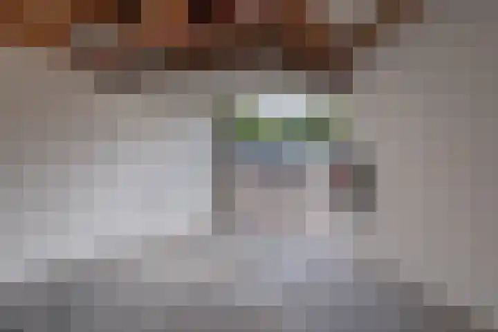 Molenstraat 2 Sint-Maartensdijk thumbnail 31