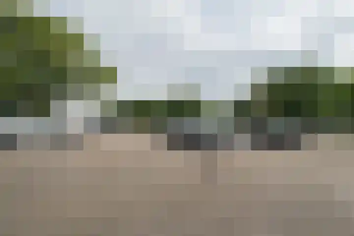 Molenstraat 2 Sint-Maartensdijk thumbnail 36