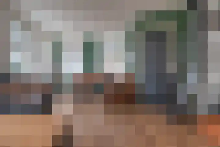 Molenstraat 2 Sint-Maartensdijk thumbnail 4