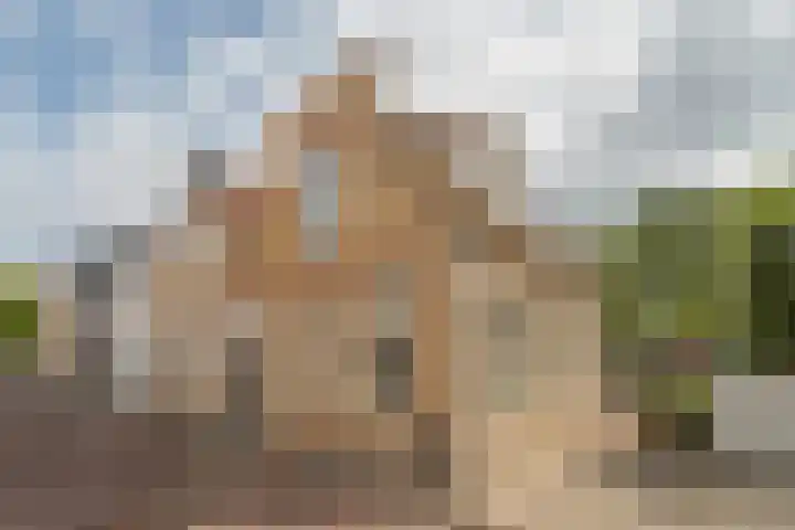 Molenstraat 2 Sint-Maartensdijk thumbnail 6