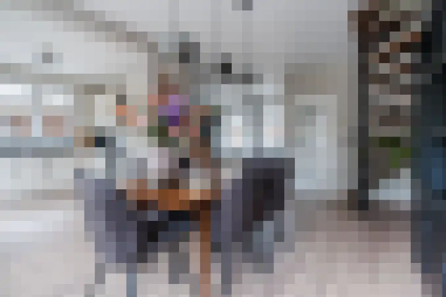Molenstraat 2 Swolgen thumbnail 17