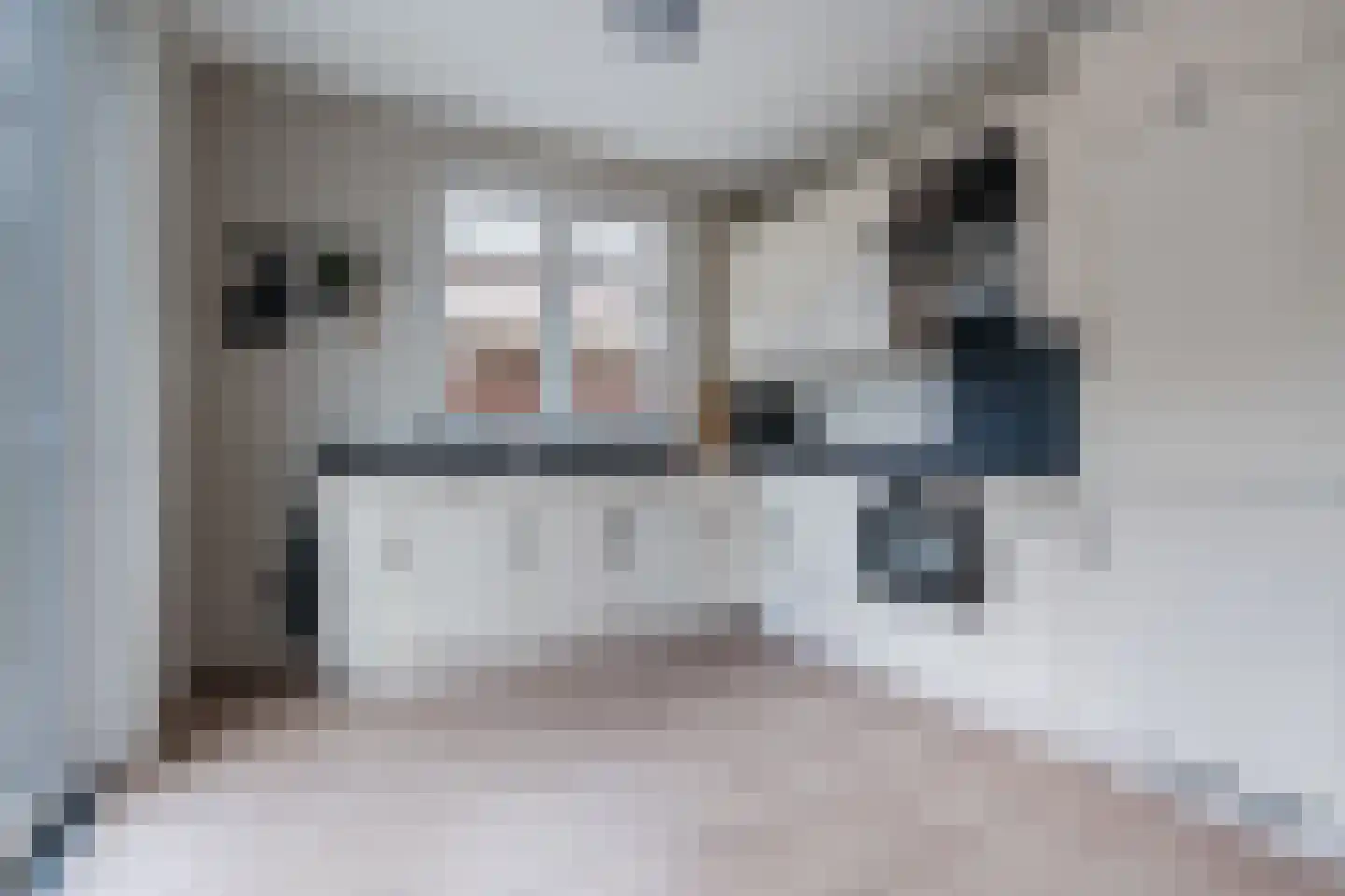 Molenstraat 2 Swolgen thumbnail 18