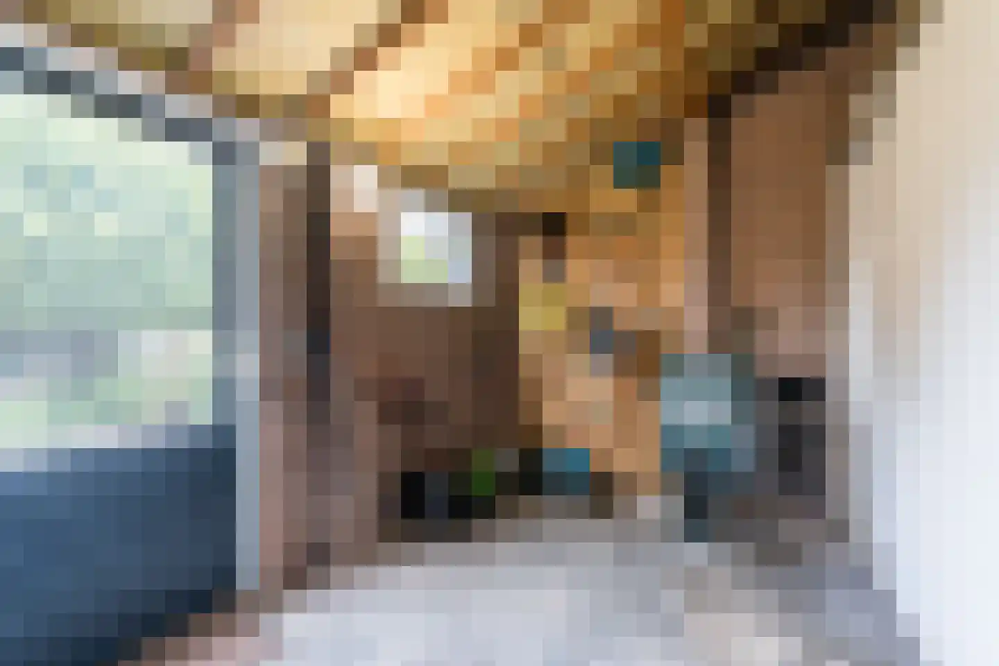 Molenstraat 2 Swolgen thumbnail 38