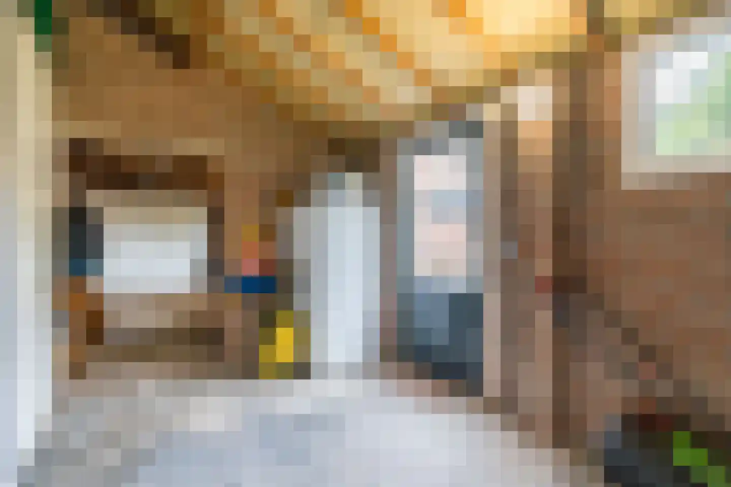 Molenstraat 2 Swolgen thumbnail 39