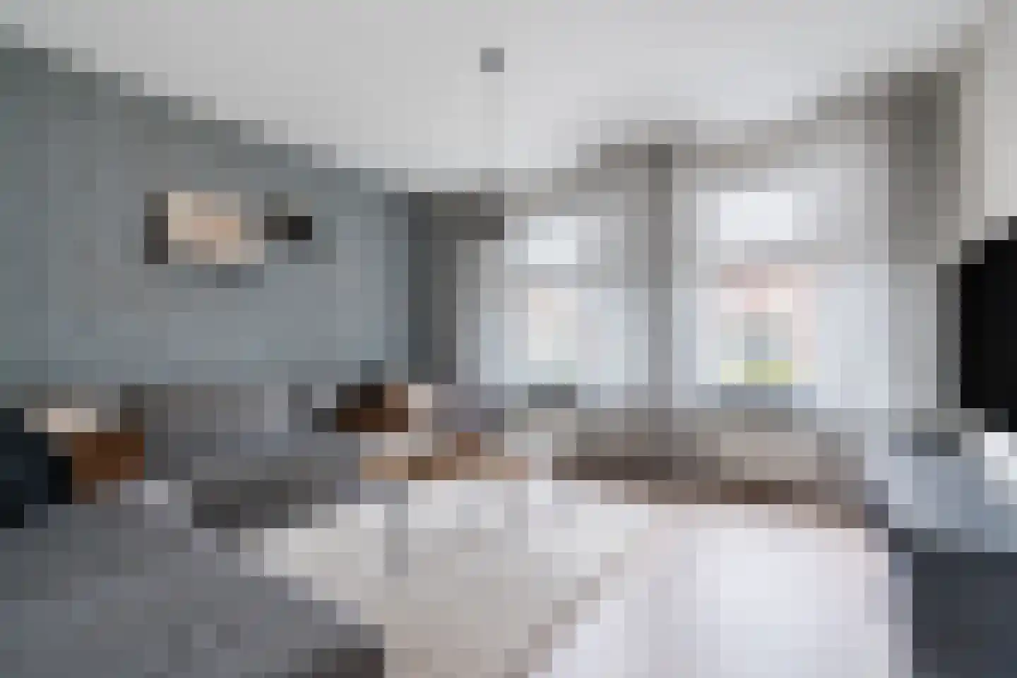 Molenstraat 2 Swolgen thumbnail 6
