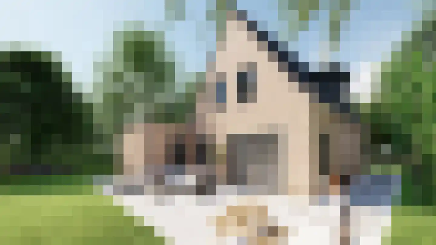 Molenstraat 2 Zaamslag thumbnail 16