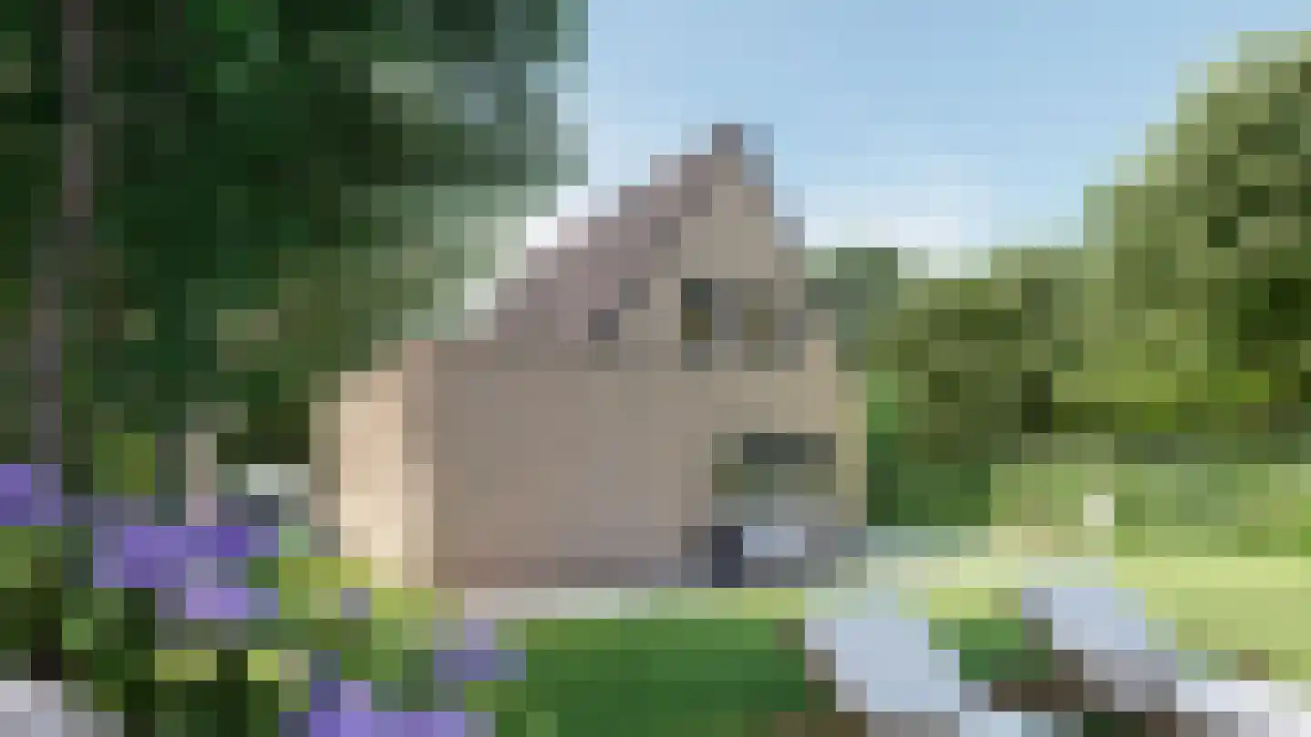 Molenstraat 2 Zaamslag thumbnail 18