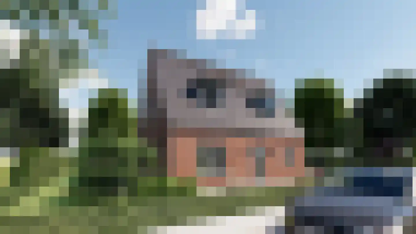 Molenstraat 2 Zaamslag thumbnail 21