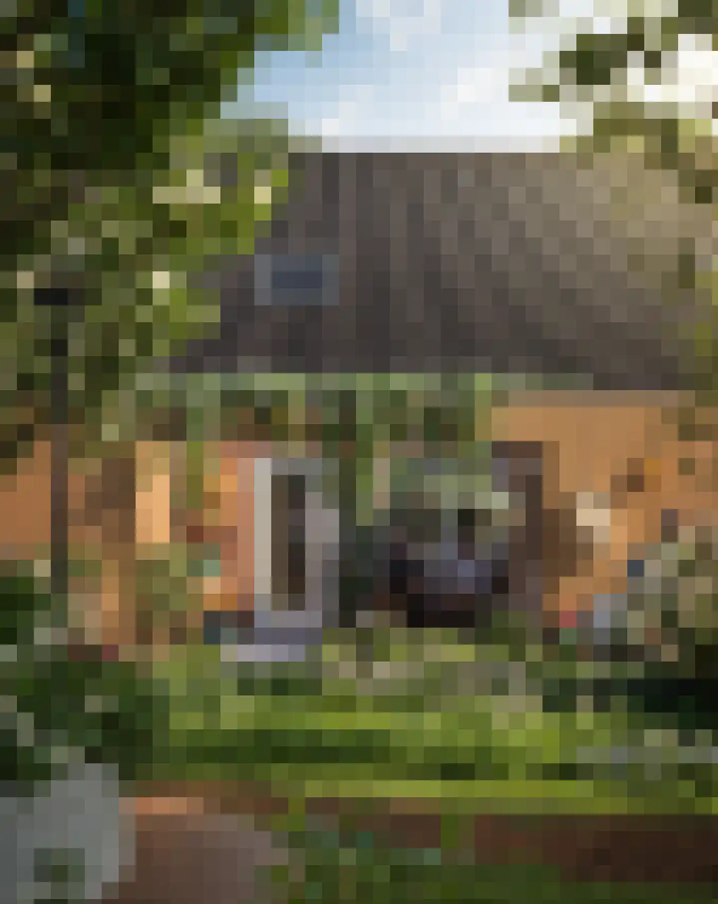 Molenstraat 2 Zaamslag thumbnail 4