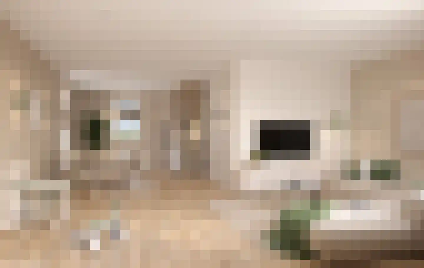 Molenstraat 2 Zaamslag thumbnail 5
