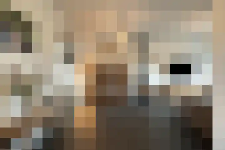 Molenstraat 20 Aarle-Rixtel thumbnail 9