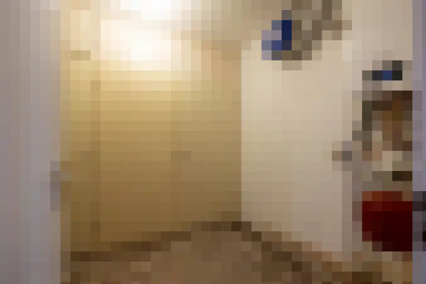 Molenstraat 20 Almelo thumbnail 19