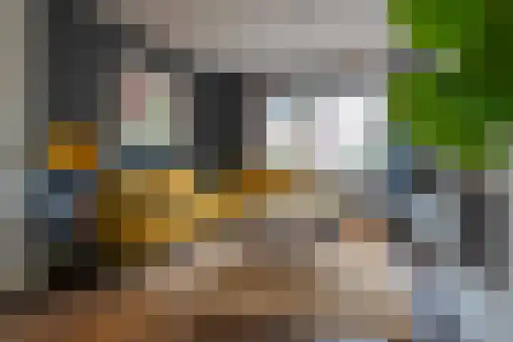 Molenstraat 20 Berkel-Enschot thumbnail 5