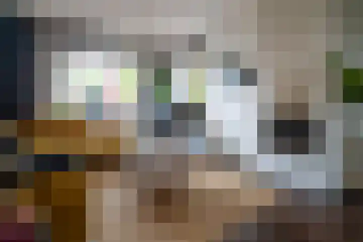 Molenstraat 20 Berkel-Enschot thumbnail 6