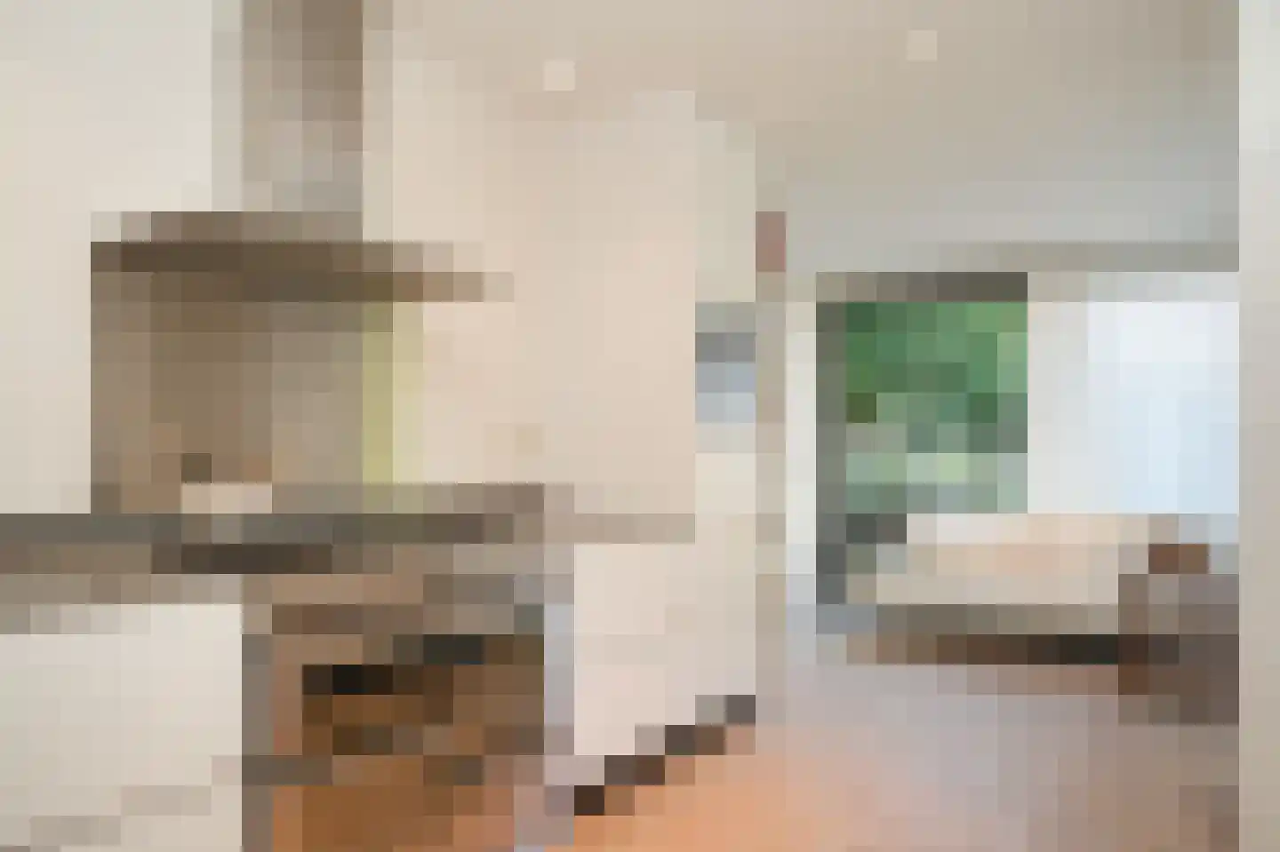 Molenstraat 20 Bruchem thumbnail 15