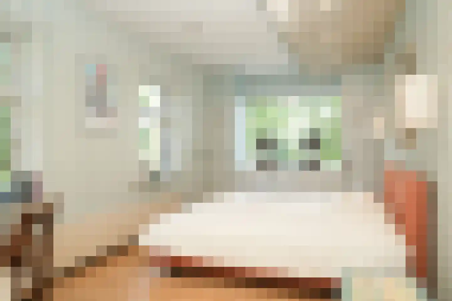 Molenstraat 20 Bruchem thumbnail 21