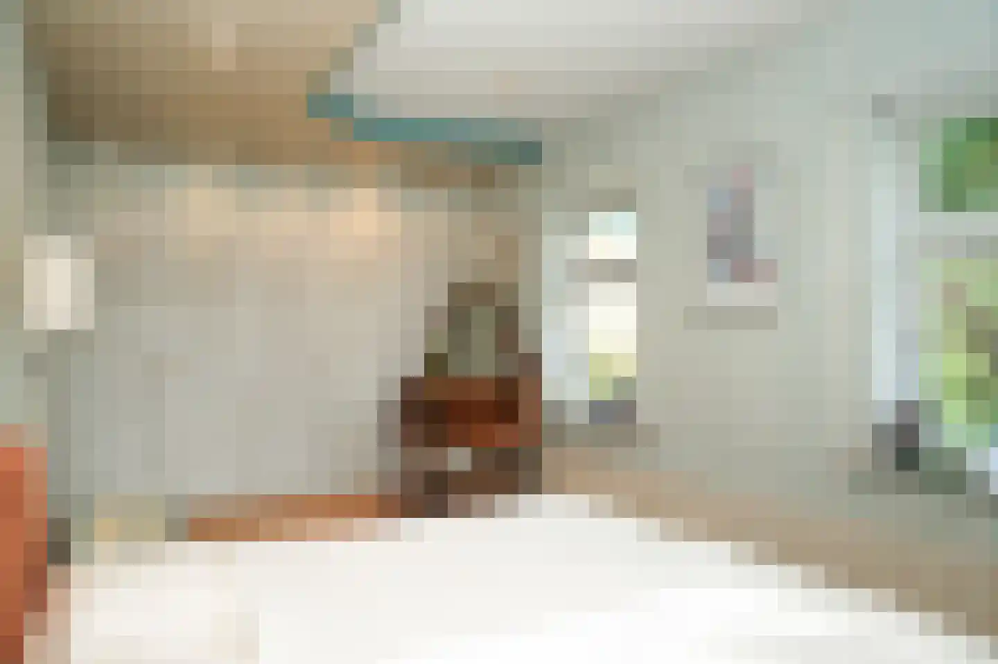 Molenstraat 20 Bruchem thumbnail 22