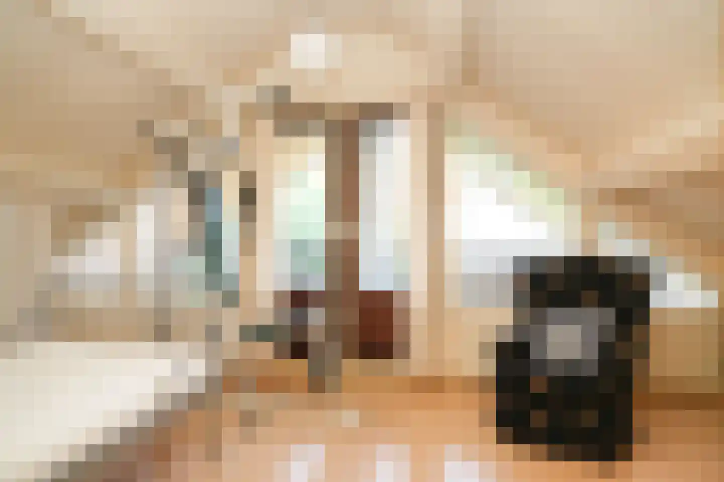 Molenstraat 20 Bruchem thumbnail 26