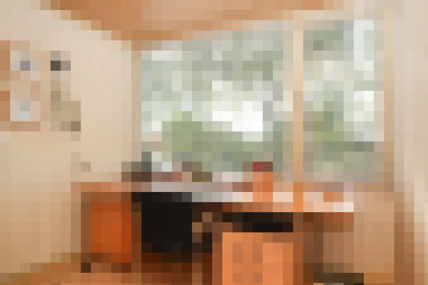 Molenstraat 20 Bruchem thumbnail 32
