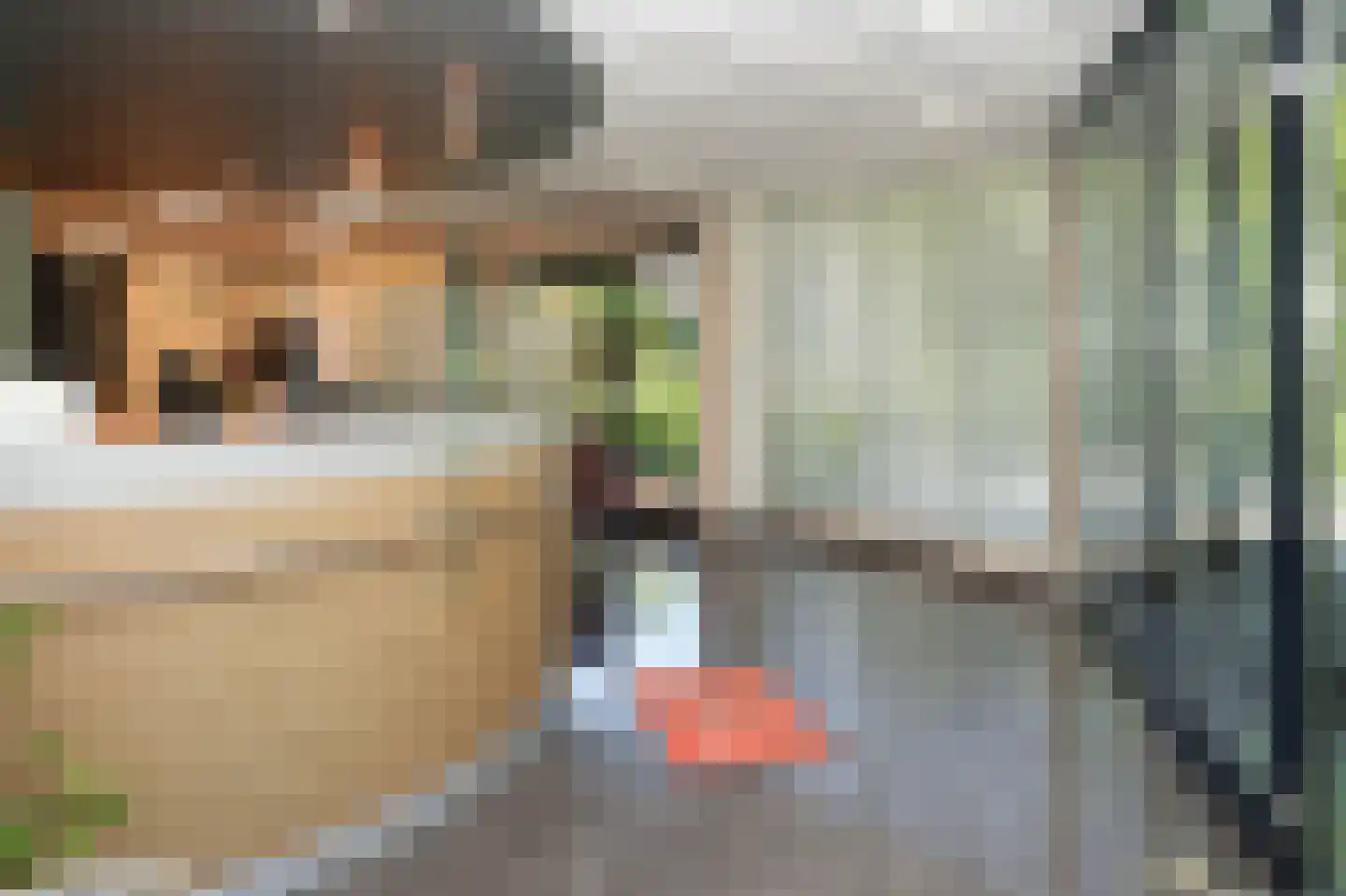 Molenstraat 20 Bruchem thumbnail 40