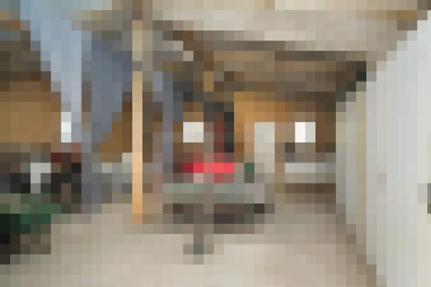 Molenstraat 20 Bruchem thumbnail 51