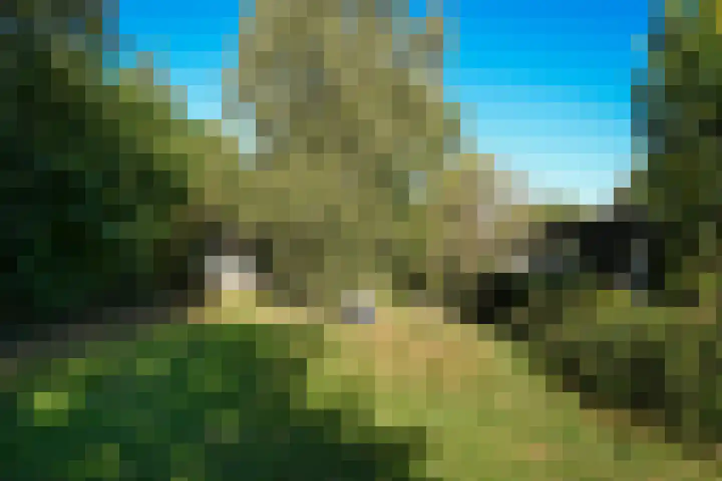 Molenstraat 20 Bruchem thumbnail 52