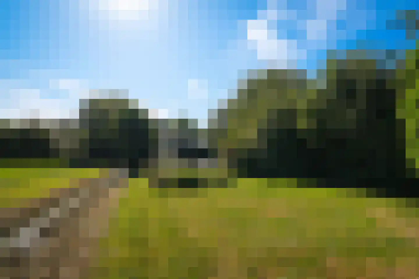 Molenstraat 20 Bruchem thumbnail 62