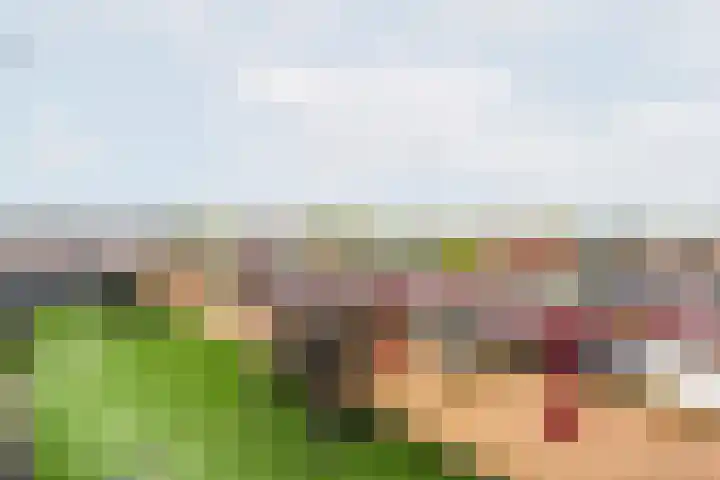 Molenstraat 20 Etten thumbnail 33