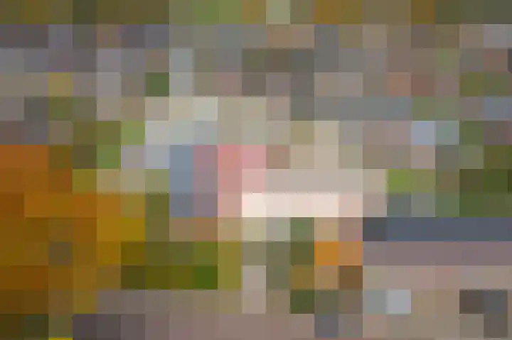 Molenstraat 20 Etten thumbnail 36