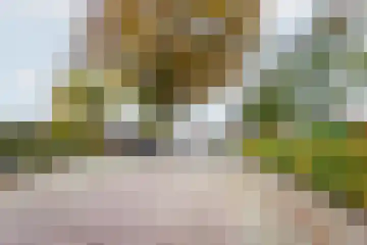 Molenstraat 20 Etten thumbnail 40