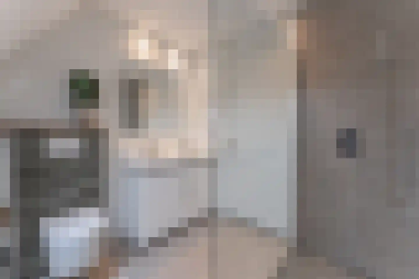 Molenstraat 20 Grootebroek thumbnail 38